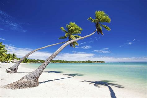 Fiji 12 Fascinating Things To Do On Your Trip To Fiji In December
