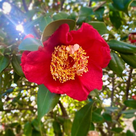 Savannah Ga most Instagramable Spots — Savannah Proper