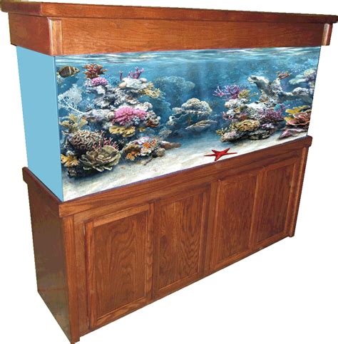 72x18 Signature Aquarium Cabinet Blue Earth Aquariums