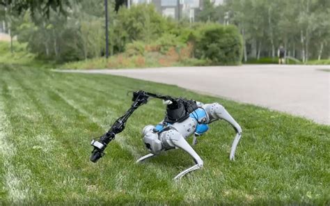 Unifying Robotic Arm And Leg Movement For Whole Body Control