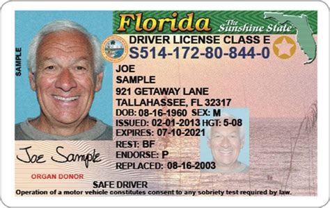 Format of the license number on real florida id card: Florida Driver's License, Enhanced (Novelty) | Drivers license, Id card template, Passport online