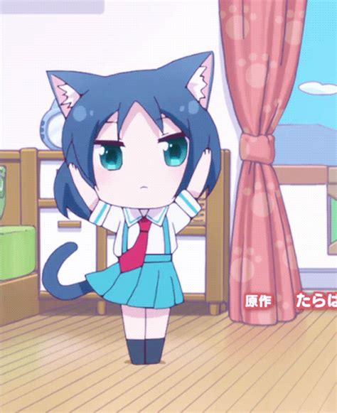 kitty dance cat girl know your meme