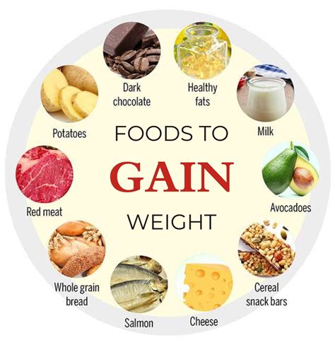 Seven Best Food Items To Gain Weight Medical Darpan