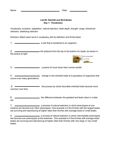 Observe evolution in a fictional population of bugs. Natural Selection Gizmo Answer Key / Copy Of Natural ...