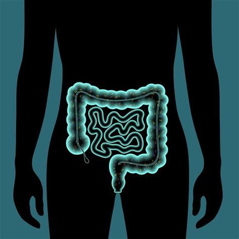 Premium Vector Gut Microbiome Medical Poster Microflora Bacteria