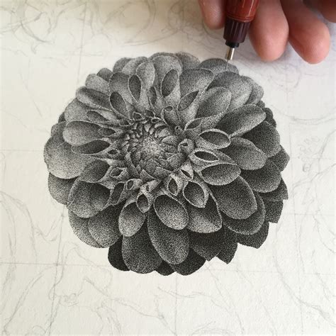 Here Is A Collection Of Flowers I Did Using Tiny Dots And A 010mm Nib