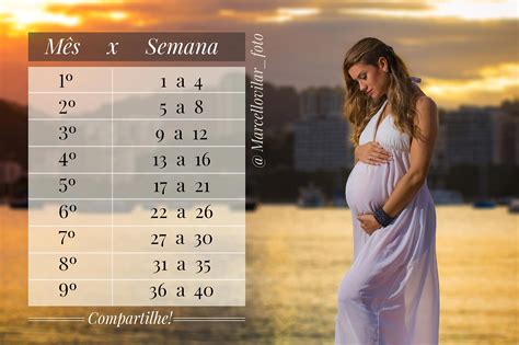 Quantos Meses São 43 Semanas