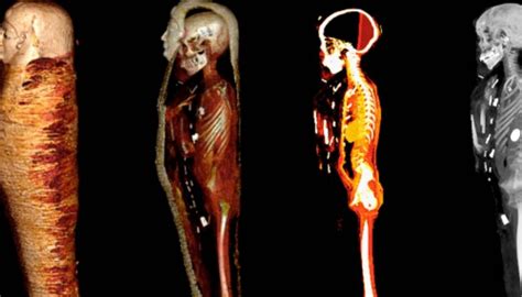 scientists investigate 2300yo egyptian mummy using ct scanner technology newshub