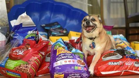 To donate using your globalgiving gift card: Donate dog food for Debbie victims | Sunshine Coast Daily