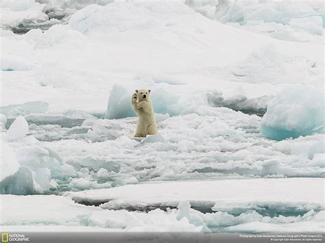 21 Of The Best Nature Photo Entries To The 2014 National
