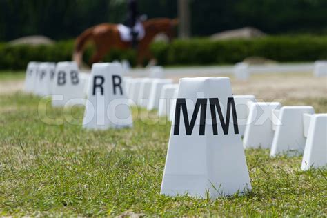 Horse Dressage Rings Stock Image Colourbox