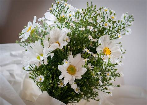 White And Green Natural Daisy And Babys Breath Bouquet In 2020 Babys