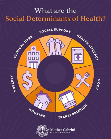 The Social Determinants Of Health Mother Cabrini Health Foundation