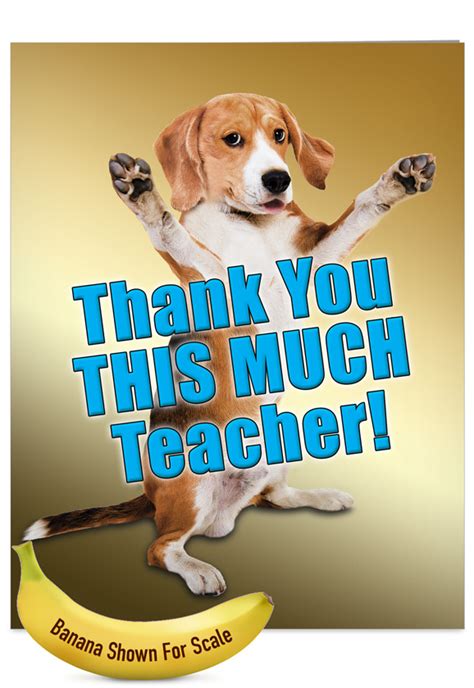 Sign up to get the latest on sales, new releases and more … Thank You This Much Teacher-Dog: Thank You Big Card