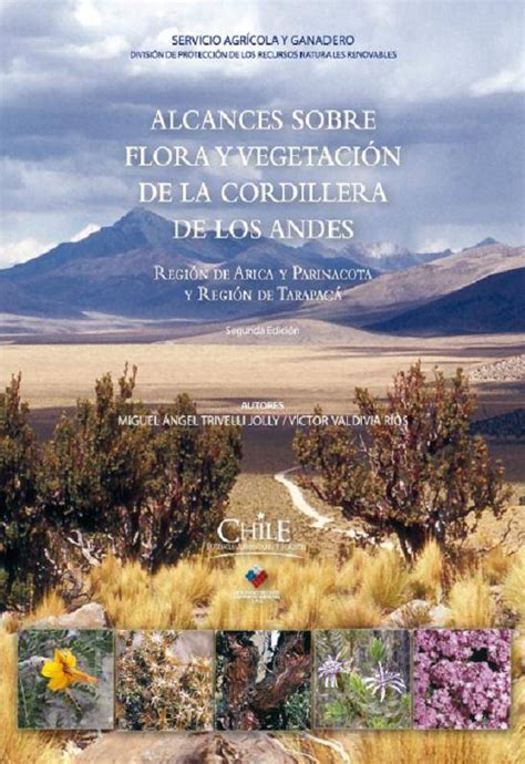 Bibliomanía Chilena Sag Alcances Sobre Flora Y Vegetación De La