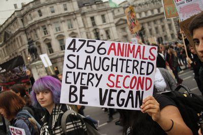 How many people die each year how many people die from smoking how many people die at the grand canyon how many sleeping pills does it take to die how many people die climbing everest how many. How Many Animals Are Killed Each Year?