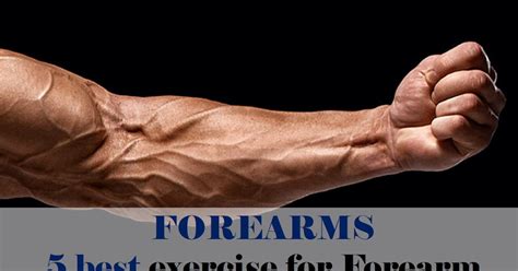 Big Forearm 5 Best Exercise For Forearms