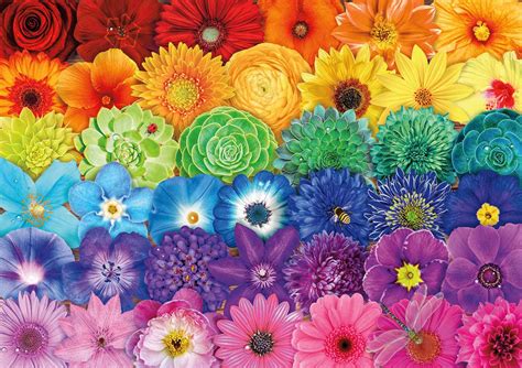 Maybe you would like to learn more about one of these? Flower Spectrum, 300 Pieces, Buffalo Games | Puzzle Warehouse