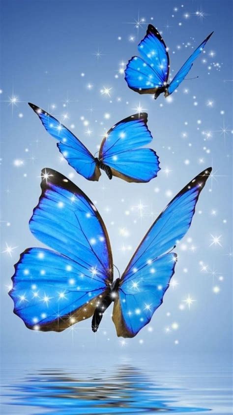Wallpaper Iphone Blue Butterfly Resolution Iphone Blue Butterfly