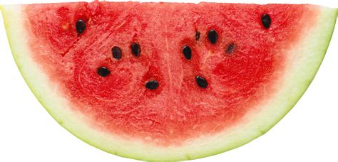 Are Watermelon Seeds Bad For You Siowfa15 Science In Our World