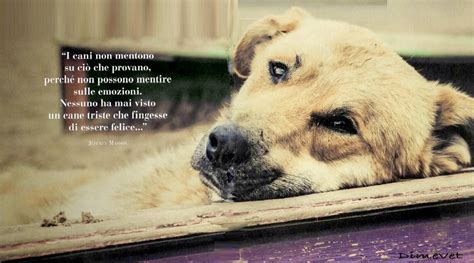 Dal 1° 45 giri di eros ad un amico 1982 copyright by sony music entertainment. Il cane più buono del mondo. Lettera al mio amico blu ...