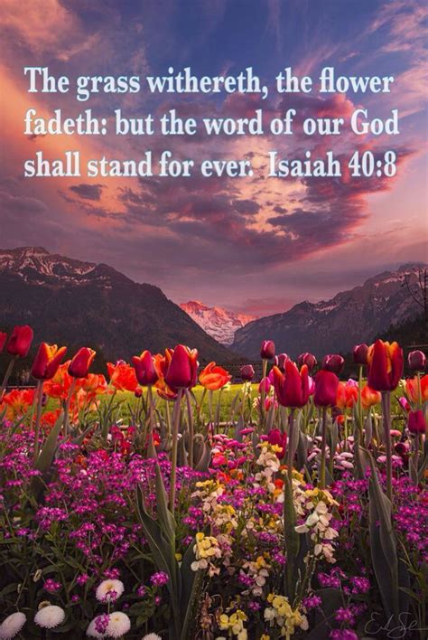 Cute bible verse paintings bible verse growing bible verse laptop bible verse romans 10 9 bible verse drawings bible verse cover photo fields bible verses beautiful bible verse canvas bible verse templates bible verse labels bible verse serving bible verse with pink flowers tiger. 12336 best Flowers + Bible Verses images on Pinterest ...