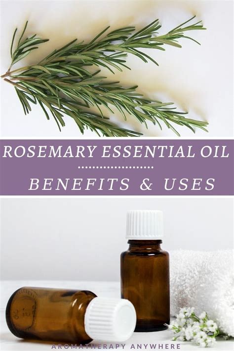 Rosemary is full of benefits for hair and skincare! Benefits Of Rosemary Essential Oil For Hair, Skin ...