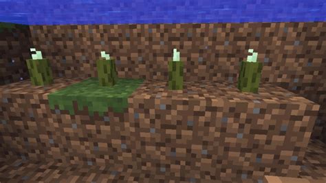 Where to find sea pickles, how to get them to grow, what you can do with sea pickles, and anything else about sea pickles in minecraft. Minecraft Snapshot Surprise #53 - Sea Pickles Causes Grass ...