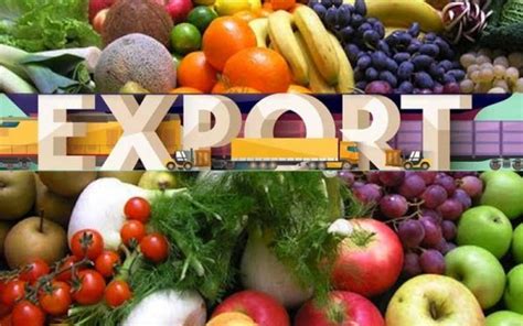 Vegetables Exporters In Tamilnadu Adrianna Springs Exporters Tamilnadu