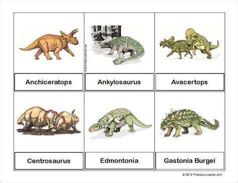 So here we bring you 15 creative & fun activities for why activities are important for your preschooler? Free Printable Montessori Cards Featuring Dinosaurs ...