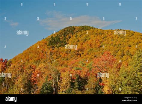 North America Usa Vermont Killington Autumn Foliage At Pico