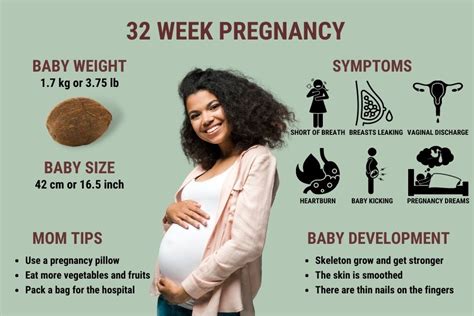 32 Weeks Pregnant Symptoms Ultrasound Baby Development