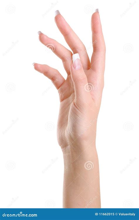 One Elegant Female Hand With Beauty Fingers Royalty Free Stock Photo