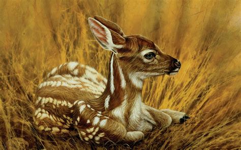 Camouflage Fawn Deer Wildlife Art Painting Chester Fields