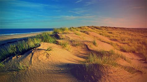壁纸 景观 日落 爬坡道 性质 支撑 砂 领域 海滩 日出 早上 海岸 地平线 荒野 黄昏 沙丘 高原