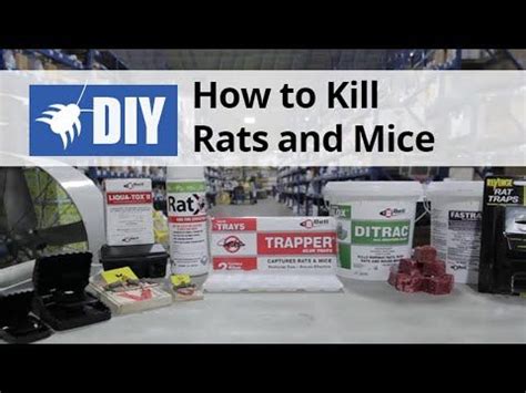 Maybe you would like to learn more about one of these? Do My Own - Do It Yourself Pest Control, Lawn Care, Gardening, Equipment & Animal Care Products ...