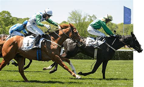 Steeplechase races originated in the 1700s in ireland, where horses were raced between church steeples of neighbouring towns and villages. About Steeplechasing | The Queen's Cup Steeplechase