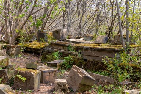 Moss In Stone Ruins Stock Photo Image Of Rock Brick 186424874