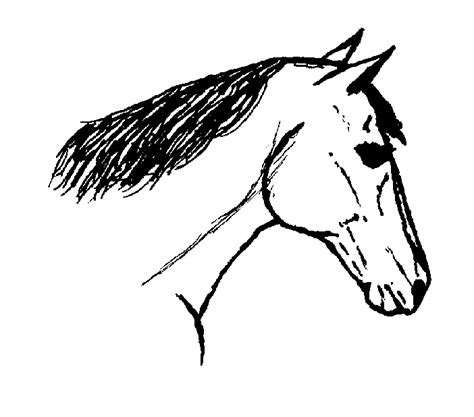 Picture Horse Head Clipart Best