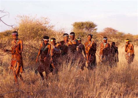 Walking With Bushmen On A Kalahari Safari Liquid Giraffe