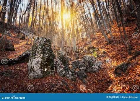 Beautiful Autumn Forest With Stones In Crimean Mountains At Suns Stock