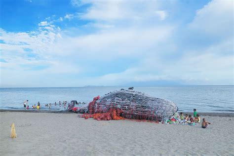 Dead Whale Sculpture Raises Awareness On Plastic Waste In The