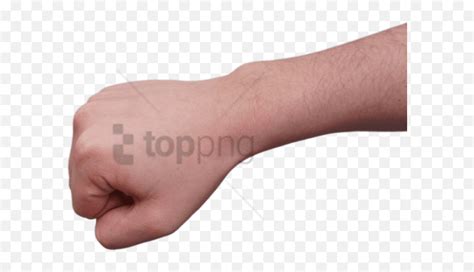 Clenched Fist And Forearm Transparent Real Fist Png Fists Png Free Transparent Png Images