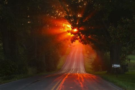 Download 480x854 Sunset Long Road Trees Sunbeam