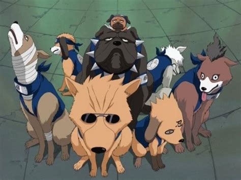 Kakashis Dogs Anime Naruto Shippuden Anime Naruto