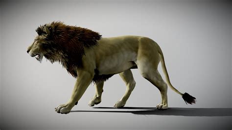 Lion Animated Buy Royalty Free 3d Model By 3dartstevenz 62a279f