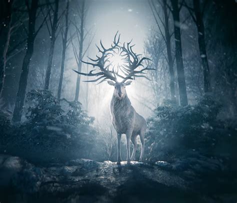 There are no others like her. Shadow and Bone — announcement and teaser from Netflix