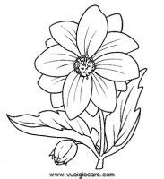 Fiori colorati da stampare e ritagliare. Disegni da stampare e da colorare: natura Il fiore, I fiori
