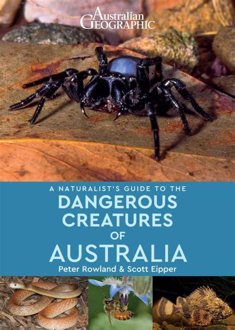A Naturalist Guide To The Dangerous Creatures Of Australia