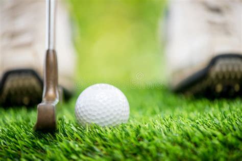 Golfer Putting Ball Stock Image Image Of Golfball Player 95801389